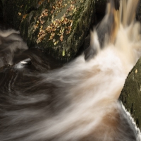 羊癫疯的三大表现要多注意