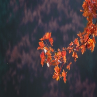 儿童癫痫早期8大症状