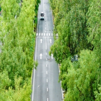 癫痫患者用药的注意事项