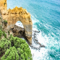 癫痫病人可以吃什么食物?