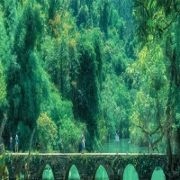 特发性癫痫和症状性癫痫是啥?