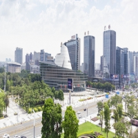 为何部分癫痫患者认知损害严重?