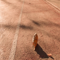 癫痫从哪些方面引起压力?