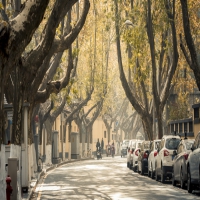 吃抗癫痫药后身上长痘痘怎么办?