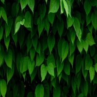 癫痫病的起因到底有些啥?