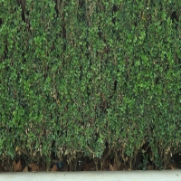 这几件事易导致癫痫发作