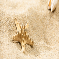 引发癫痫的两大主要诱因!内蒙治癫痫病的地方