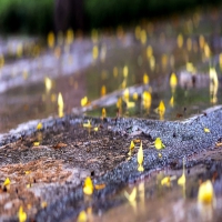 癫痫病患者可以怀孕吗?