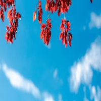 困惑癫痫的原因是钙的流失!山西太原癫痫病医院