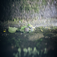 抗癫痫药对患者睡眠影响