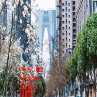 这种癫痫专瞄准你的眼睛