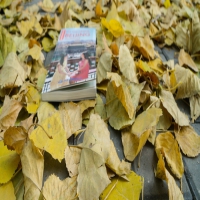 治疗多年癫痫为何总是复发?